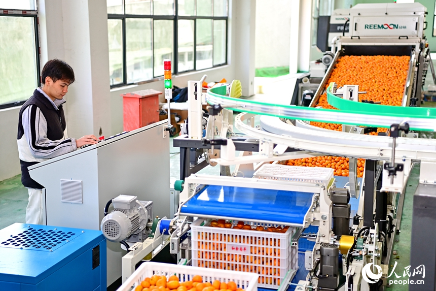 小特产何以变成大产业