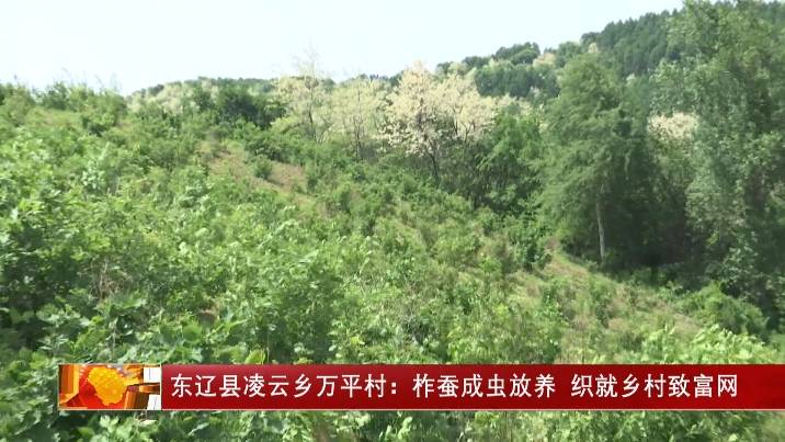 科技小院扎根乡土茁壮生长（深阅读）